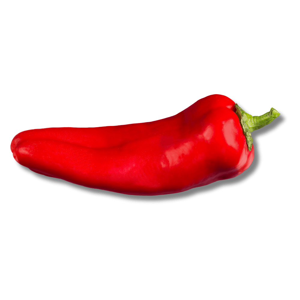 Decorative Chilli